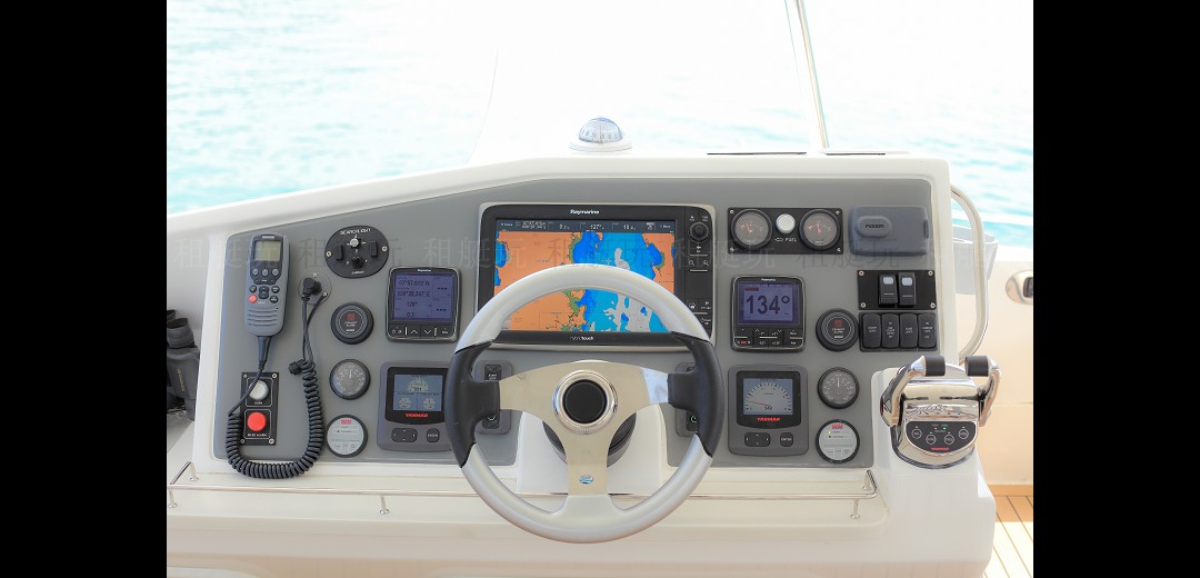 Leopard 51